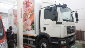 Tulcea-service-camioane-1